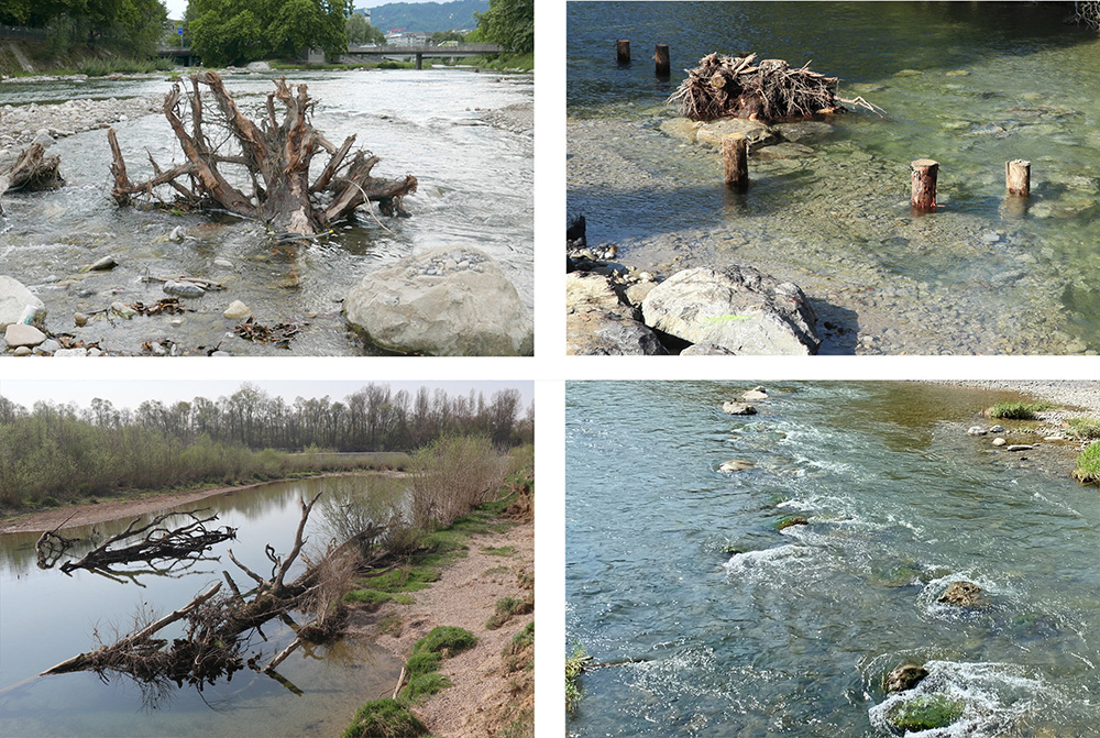 Strukturen im Fluss