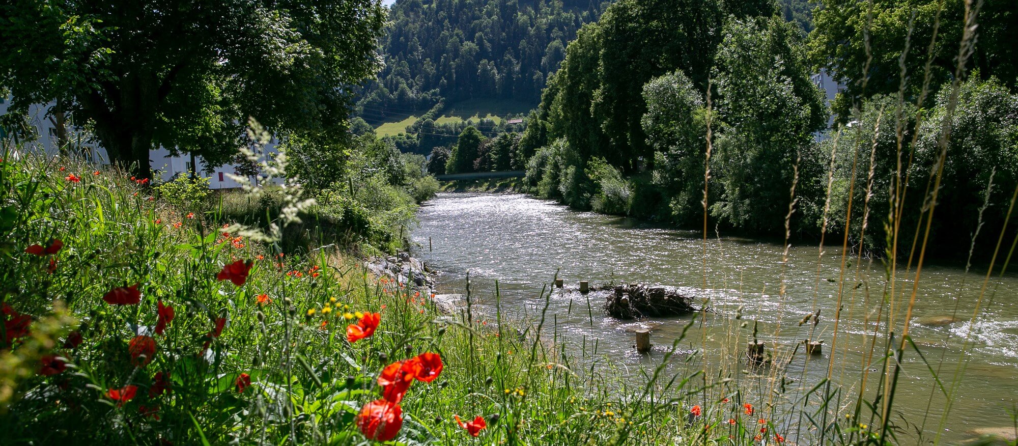 Boeschung1 klein